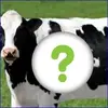 Animals Skin GIF Corto